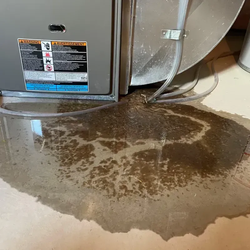 Appliance Leak Cleanup in Montesano, WA